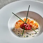 유로스타 콩키스타도르 코르도바